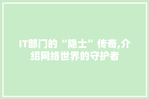 IT部门的“隐士”传奇,介绍网络世界的守护者