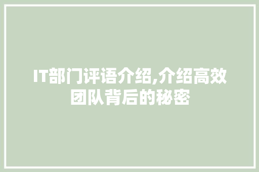 IT部门评语介绍,介绍高效团队背后的秘密