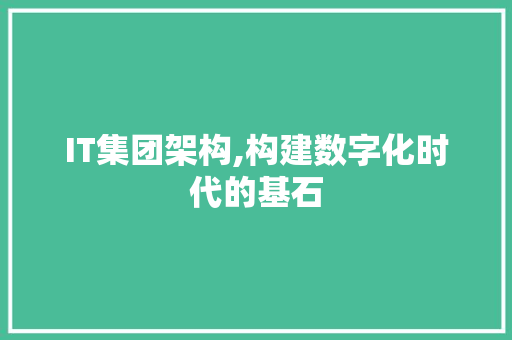 IT集团架构,构建数字化时代的基石