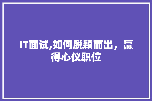 IT面试,如何脱颖而出，赢得心仪职位