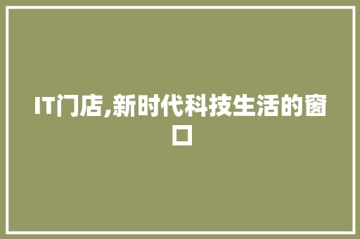 IT门店,新时代科技生活的窗口