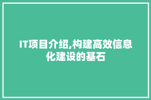 IT项目介绍,构建高效信息化建设的基石