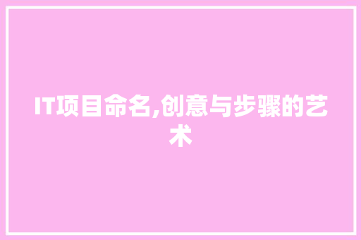 IT项目命名,创意与步骤的艺术