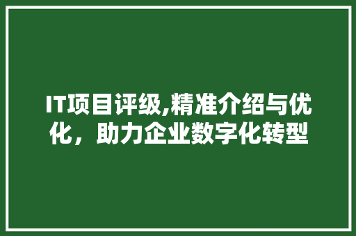 IT项目评级,精准介绍与优化，助力企业数字化转型