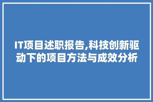 IT项目述职报告,科技创新驱动下的项目方法与成效分析