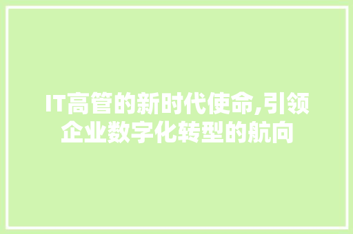 IT高管的新时代使命,引领企业数字化转型的航向 SEO关键词