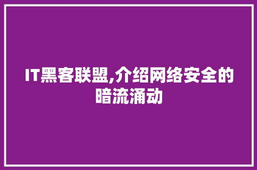 IT黑客联盟,介绍网络安全的暗流涌动 网站建设公司