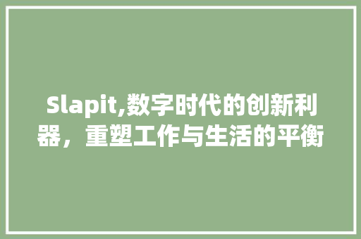 Slapit,数字时代的创新利器，重塑工作与生活的平衡