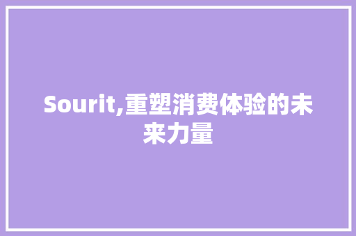 Sourit,重塑消费体验的未来力量 网站建设公司