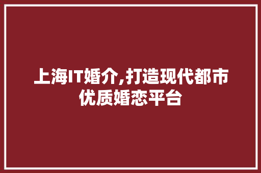 上海IT婚介,打造现代都市优质婚恋平台
