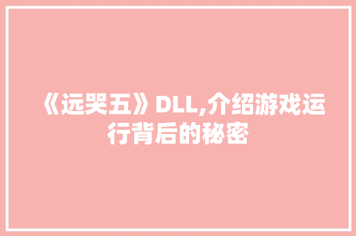 《远哭五》DLL,介绍游戏运行背后的秘密