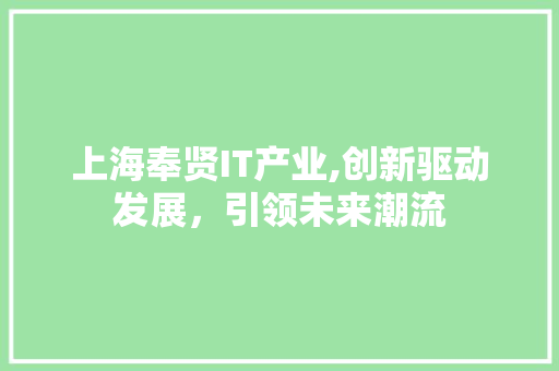 上海奉贤IT产业,创新驱动发展，引领未来潮流 网站建设公司