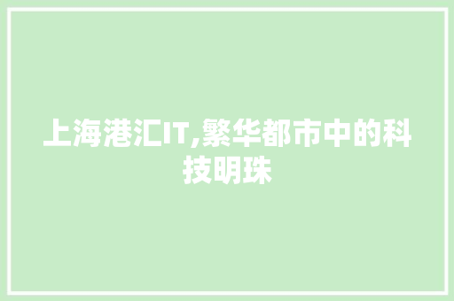 上海港汇IT,繁华都市中的科技明珠 搜狗SEO