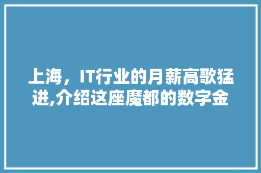 上海，IT行业的月薪高歌猛进,介绍这座魔都的数字金矿 百度SEO