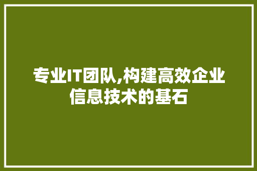 专业IT团队,构建高效企业信息技术的基石