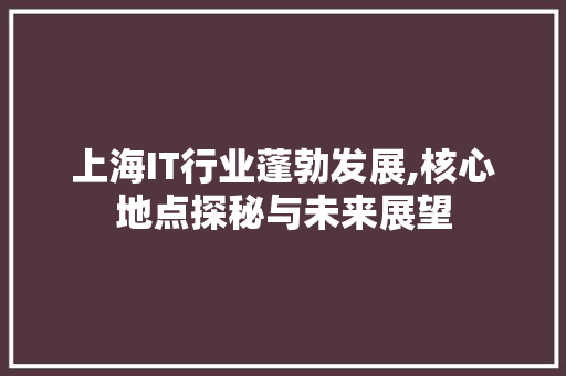 上海IT行业蓬勃发展,核心地点探秘与未来展望