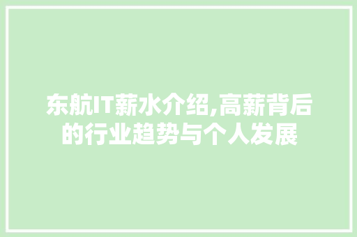 东航IT薪水介绍,高薪背后的行业趋势与个人发展