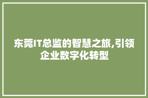 东莞IT总监的智慧之旅,引领企业数字化转型