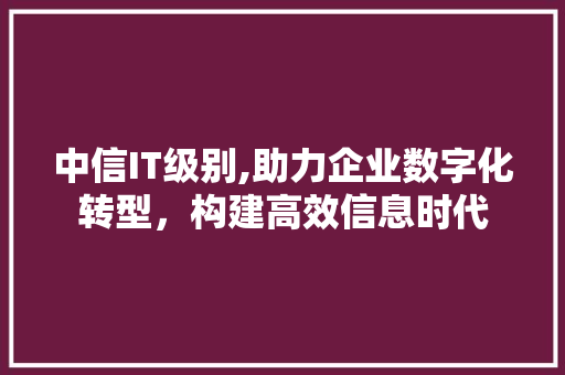 中信IT级别,助力企业数字化转型，构建高效信息时代