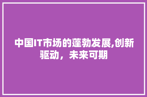 中国IT市场的蓬勃发展,创新驱动，未来可期
