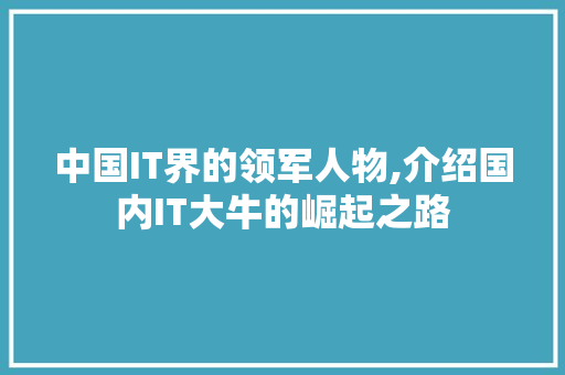 中国IT界的领军人物,介绍国内IT大牛的崛起之路