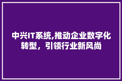 中兴IT系统,推动企业数字化转型，引领行业新风尚