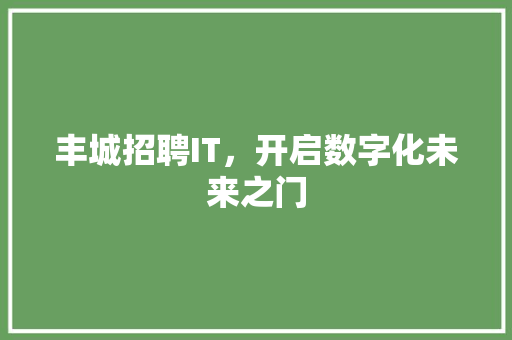 丰城招聘IT，开启数字化未来之门