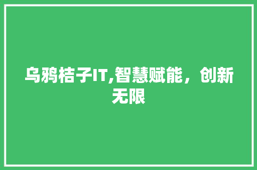 乌鸦桔子IT,智慧赋能，创新无限