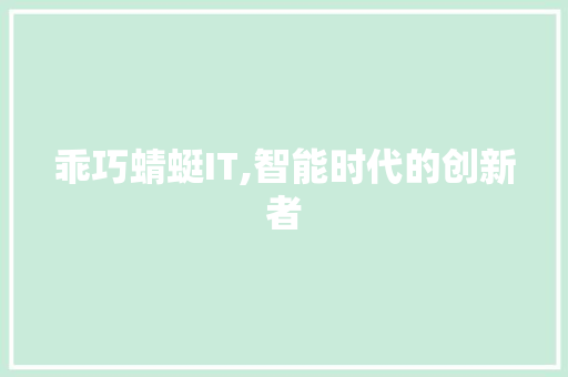 乖巧蜻蜓IT,智能时代的创新者