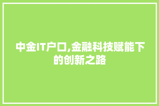 中金IT户口,金融科技赋能下的创新之路