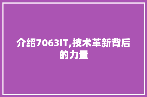 介绍7063IT,技术革新背后的力量 SEO关键词
