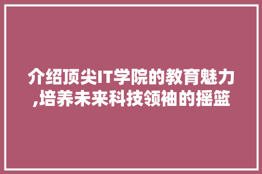 介绍顶尖IT学院的教育魅力,培养未来科技领袖的摇篮