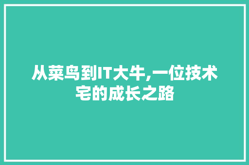 从菜鸟到IT大牛,一位技术宅的成长之路 必应SEO