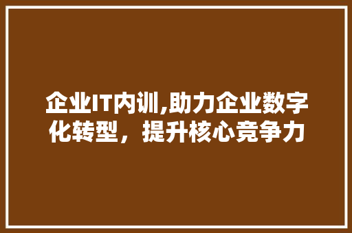 企业IT内训,助力企业数字化转型，提升核心竞争力 SEO关键词