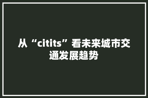 从“citits”看未来城市交通发展趋势