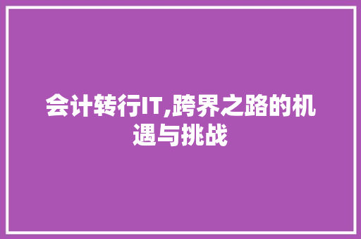 会计转行IT,跨界之路的机遇与挑战