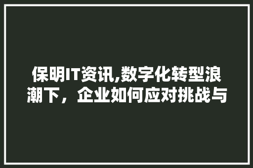 保明IT资讯,数字化转型浪潮下，企业如何应对挑战与机遇