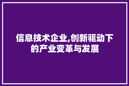 信息技术企业,创新驱动下的产业变革与发展