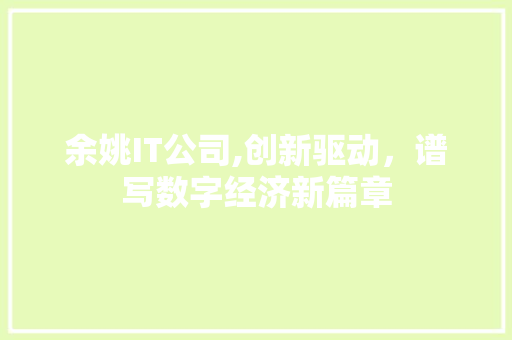 余姚IT公司,创新驱动，谱写数字经济新篇章