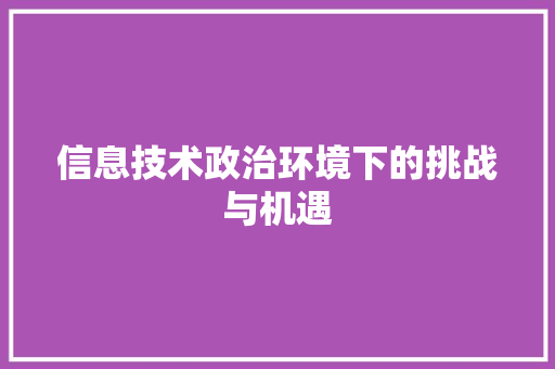 信息技术政治环境下的挑战与机遇