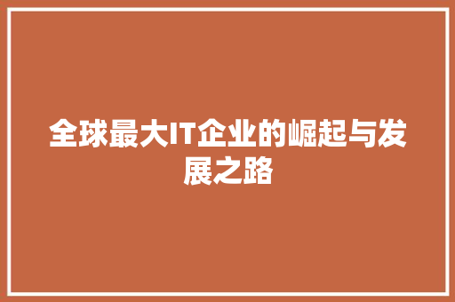 全球最大IT企业的崛起与发展之路