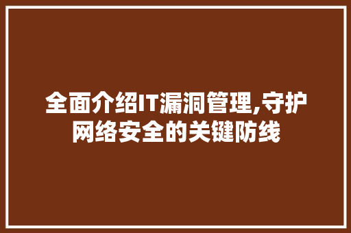 全面介绍IT漏洞管理,守护网络安全的关键防线