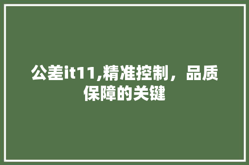 公差it11,精准控制，品质保障的关键