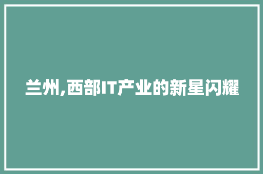 兰州,西部IT产业的新星闪耀