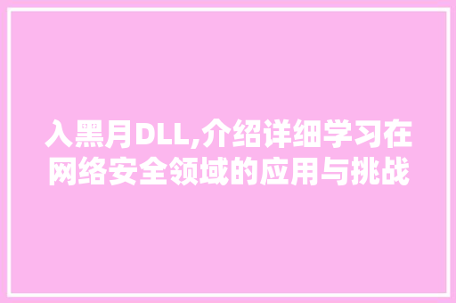 入黑月DLL,介绍详细学习在网络安全领域的应用与挑战 必应SEO