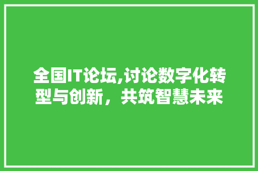 全国IT论坛,讨论数字化转型与创新，共筑智慧未来 百度SEO