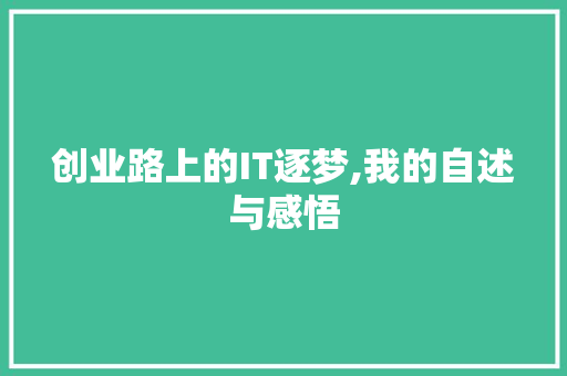 创业路上的IT逐梦,我的自述与感悟