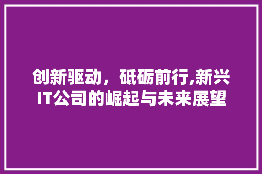创新驱动，砥砺前行,新兴IT公司的崛起与未来展望