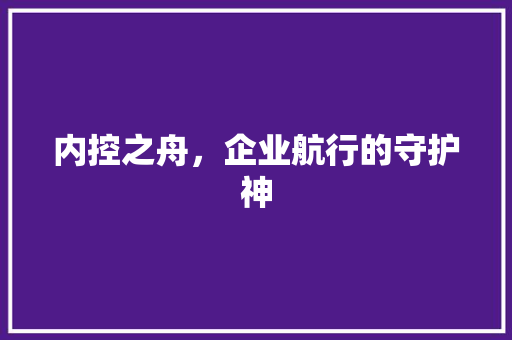 内控之舟，企业航行的守护神
