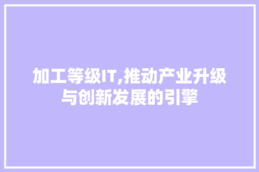 加工等级IT,推动产业升级与创新发展的引擎
